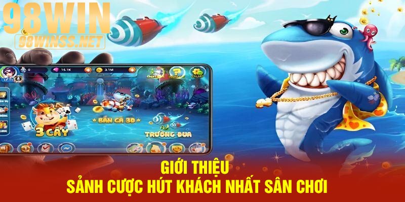 Giới thiệu sảnh cược hút khách nhất sân chơi